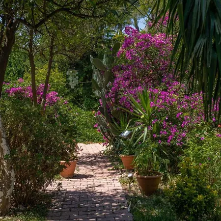 Felicity Hotel & Bungalows-3