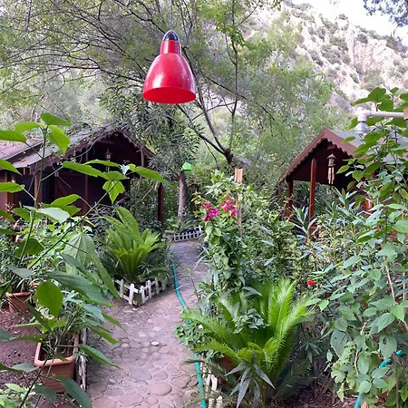 Canario Bungalows-3