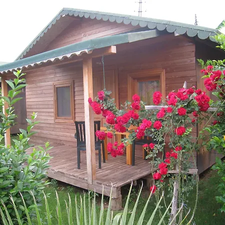 Cirali Armira Bungalow-3