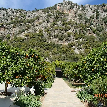 Arcadia Villas-3