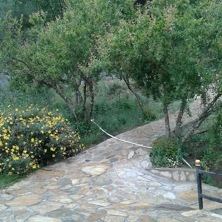 Waldvilla-3