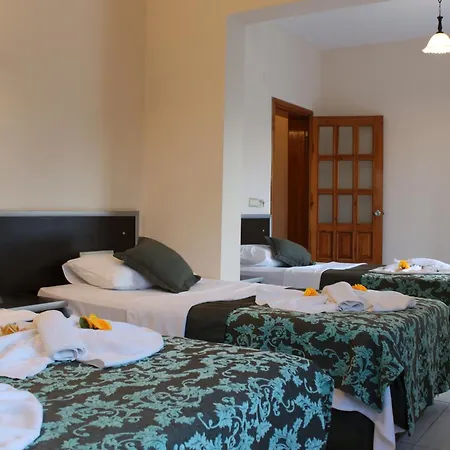 Hotel Gold Stone-3