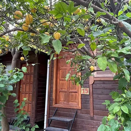 Olympos Varuna Pansiyon-2