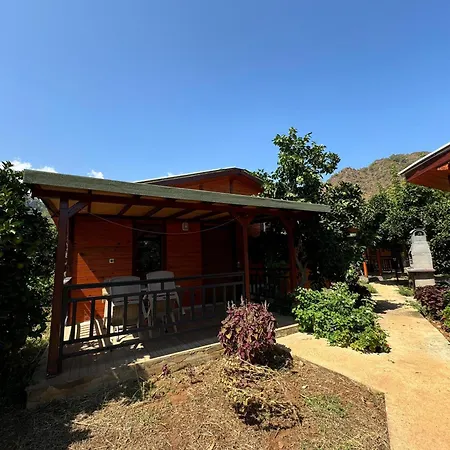 Anka Bungalov Hotel-3