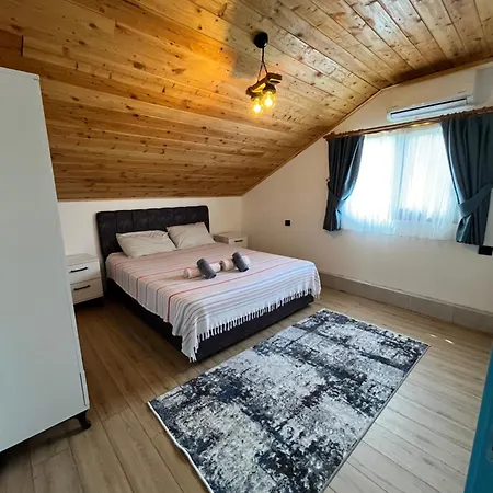 Sea Life Homes-3