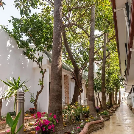 Tropic Beach Resort Hotel-3