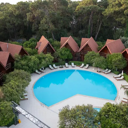 Woodline Hotel-2