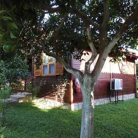 Mercan Bungalow-2