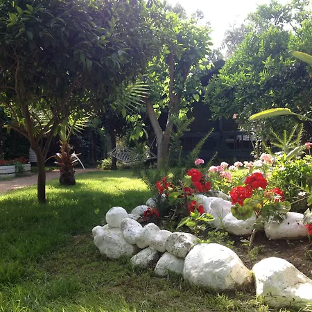 Bellerofon Beach Otel-2