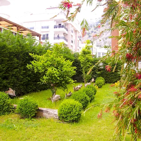 Flamingo Residence-3