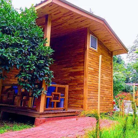 Simge Pension-3