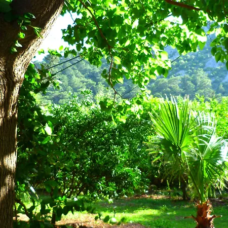 Simge Pension-2