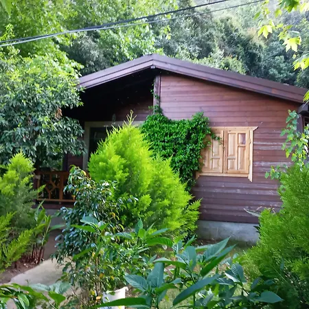 Maji Village-2