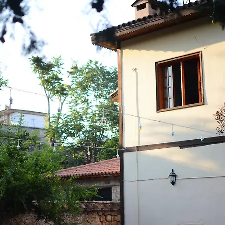 Otel Wood House-2