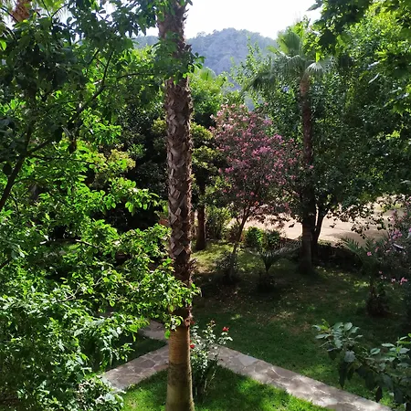 Olympos Yavuz Hotel-2