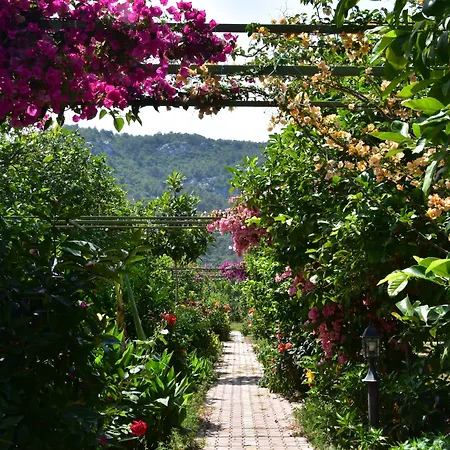 Lemon Garden Lodge-2