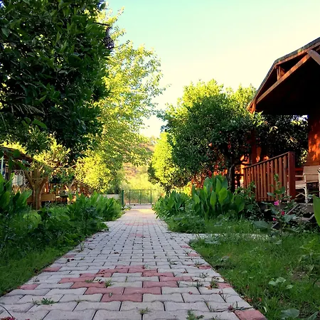 No:1281 Boutique Hotel-2