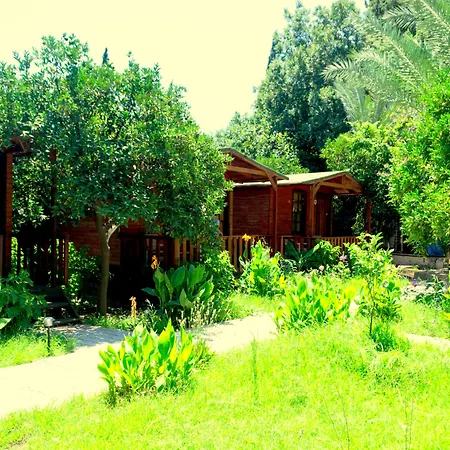 No:1281 Boutique Hotel-3