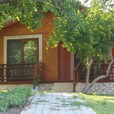 Villa Bilge-2