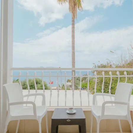 Hotel No37-2