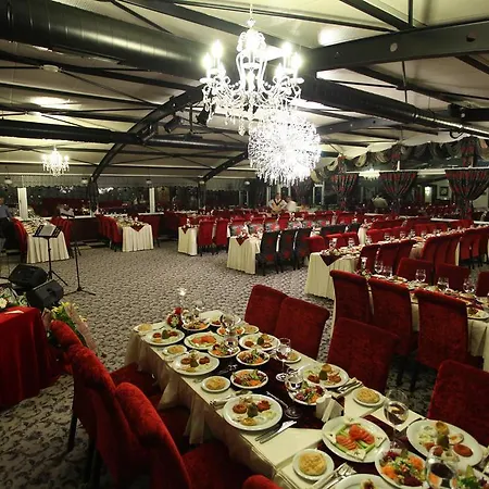 Boutique The Anilife Hotel-3