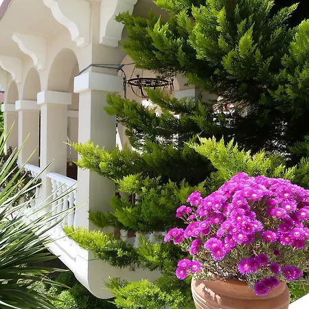 Garden Resort Bergamot-3
