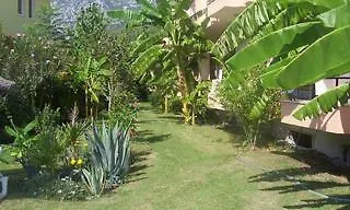 Margarita-2