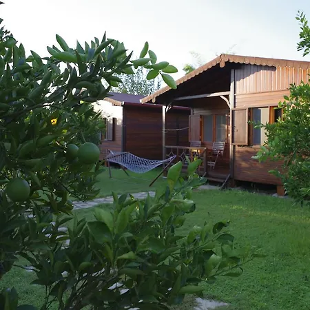 Ozge Bungalow Hotel-3
