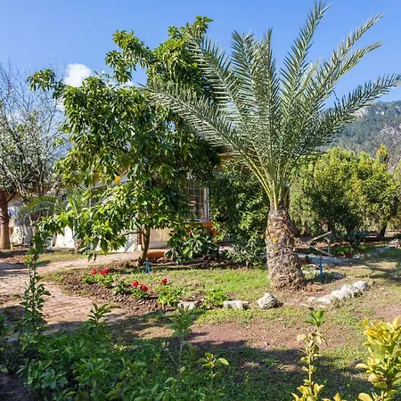 Likya Yanartas Bungalows-3