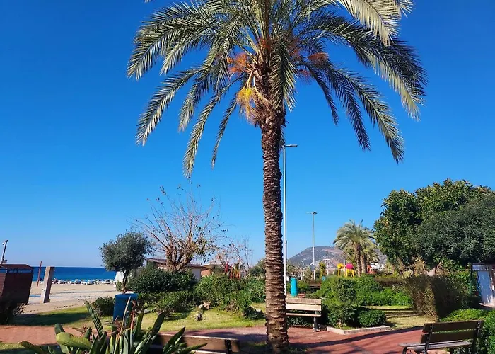 Huisdiervriedelijke Larsens Suit Hotel Alanya