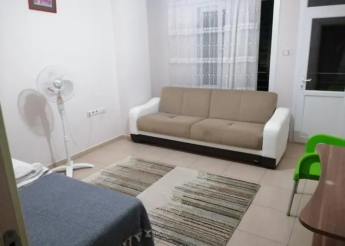 Haustierfreundliches Sehir Merkezinde Bulunan Genis, Konut Ici Ozel Oda Mersin 