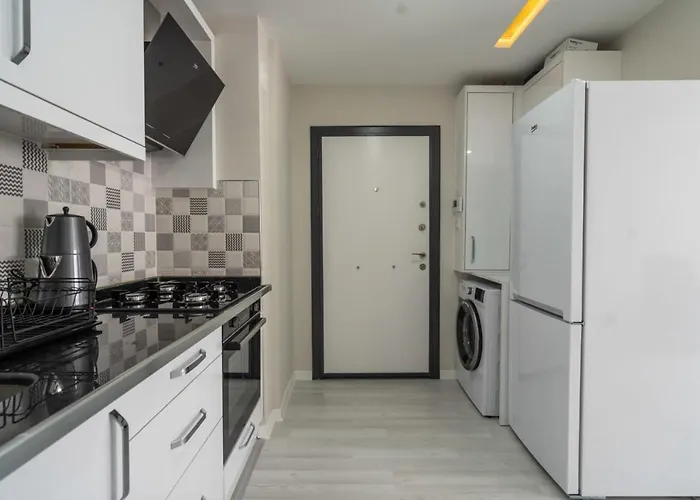 Appartamento Central Flat Near Beach And Kaleici In Muratpasa Antalia che accetta animali