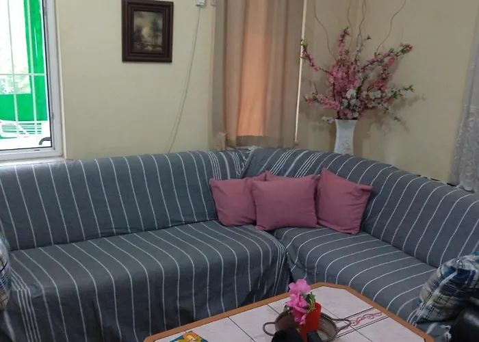 Bunk Bed Hostel Cheap Sleeping Rooms In Mixed Dormitory - Be My Guest Antalya