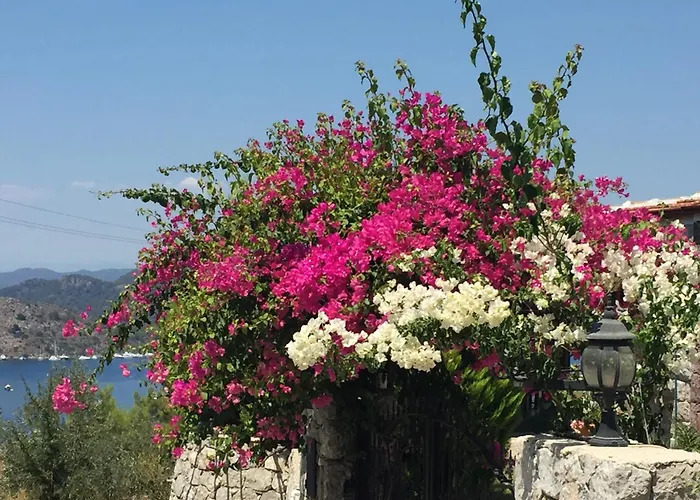 Harmanyeri Tatilevi Bed and Breakfast Selimiye 