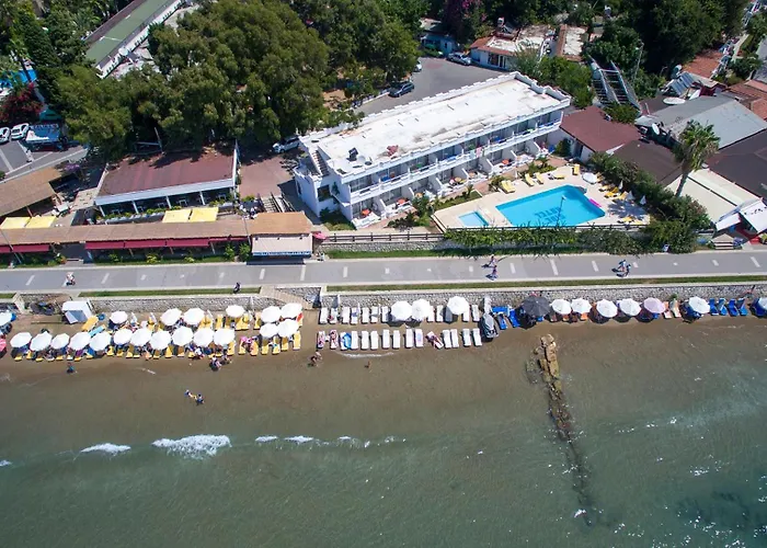 Huisdiervriedelijke Side Beach Club