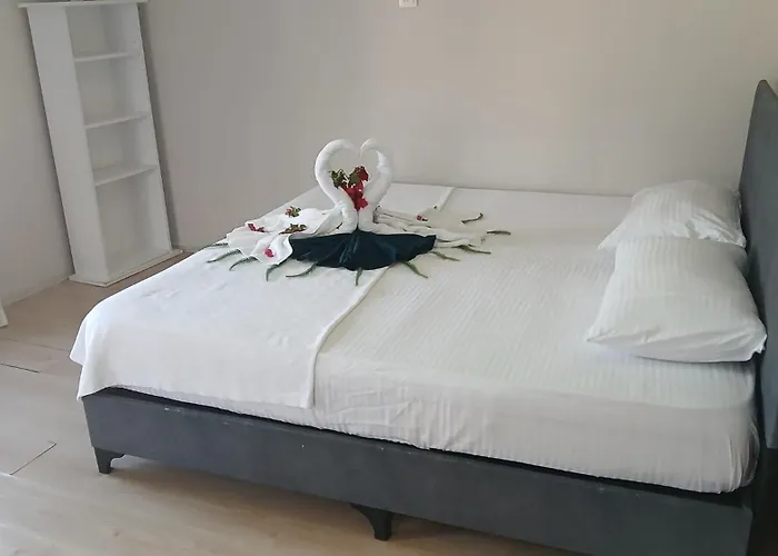 Altinay Hotel Antalia che accetta animali
