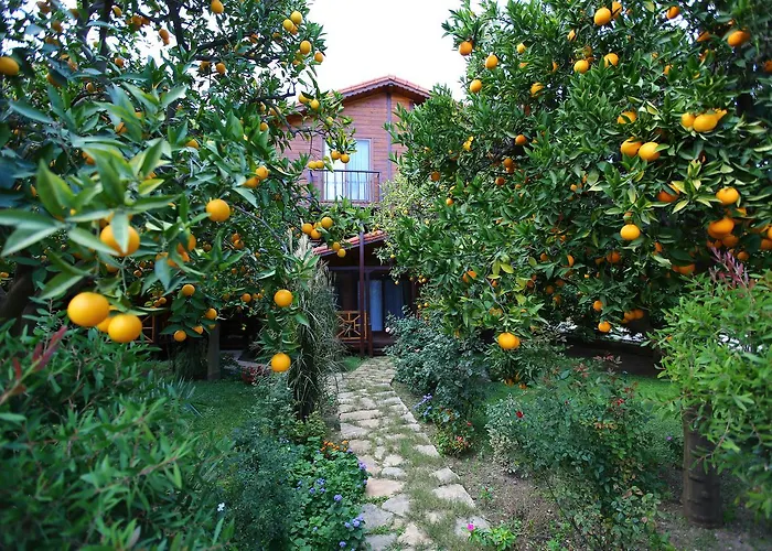 Boutique Bahce Villa Çıralı