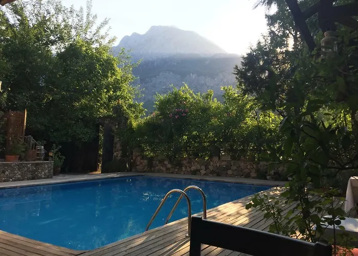 Huisdiervriedelijke Beydagi Konak Hotel Kemer